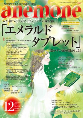 anemone 2020年12月号